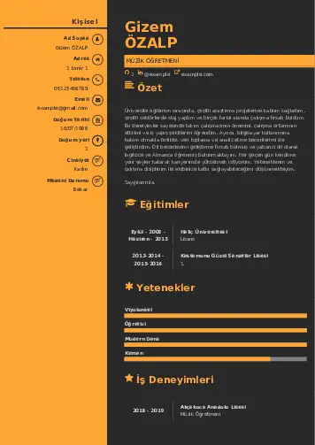 Müzik Öğretmeni Cv Örnekleri cv indir